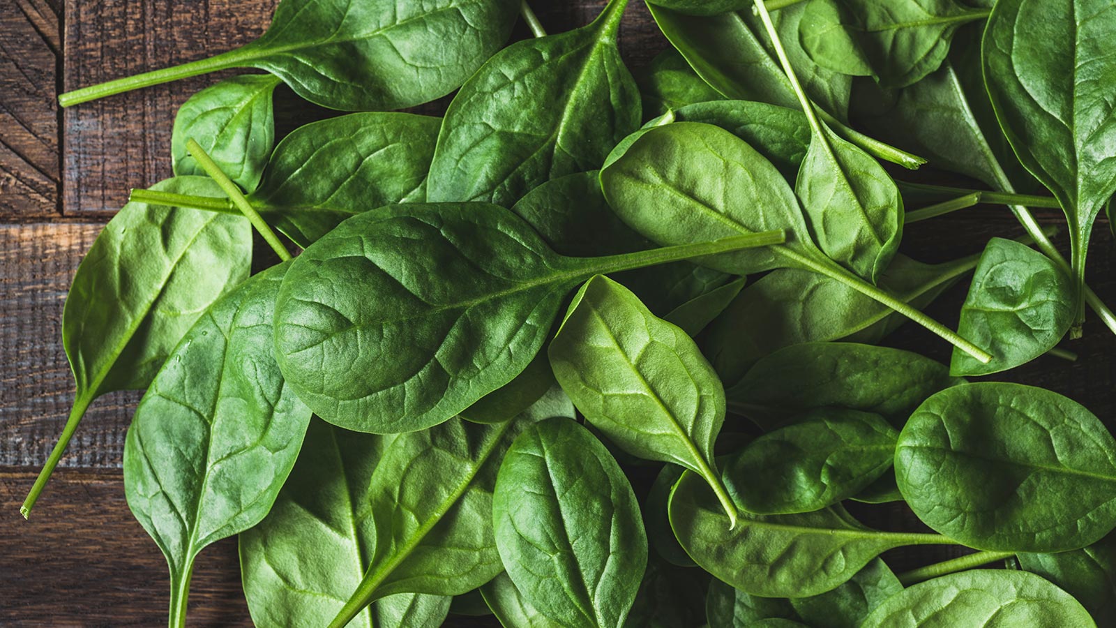 Veneno en nuestro plato alimentos contaminados